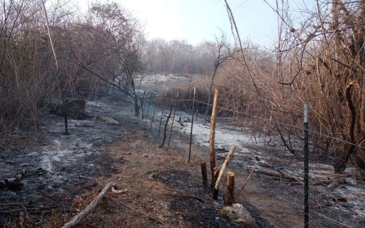 incendio apazapan ocho